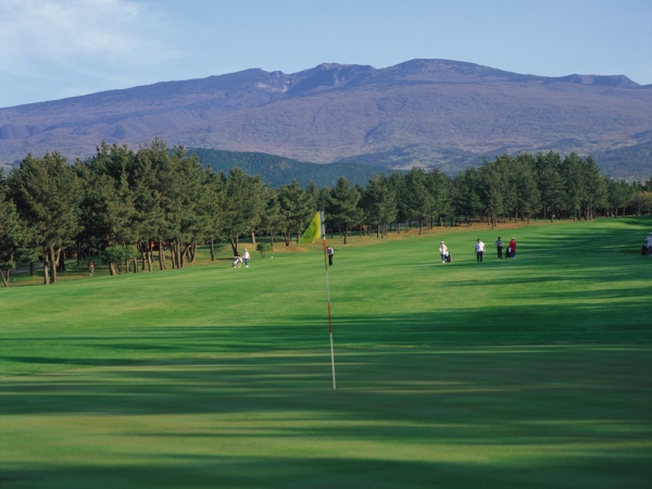 제주도내 골프장을 이용한 관광객들은 골프장 이용시 가격과 코스관리 상태를 가장 많이 고려하는 것으로 나타났다.