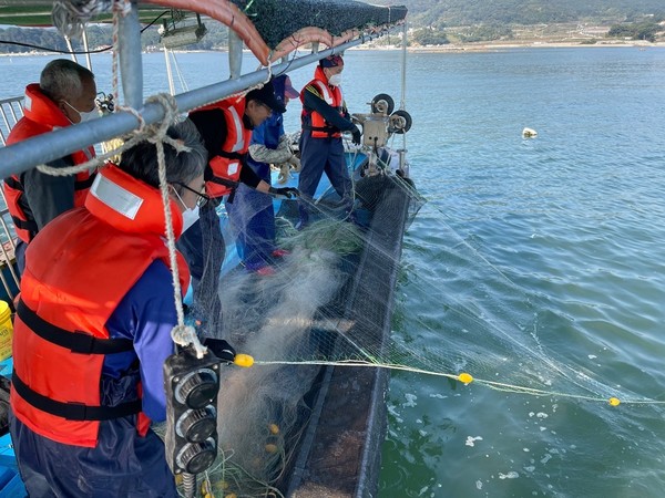 사진은 자망어선 체험 모습.