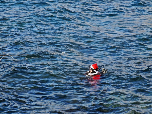 성탄절인 25일 서귀포시 서귀포항 동방파제에서 스쿠버다이버들이 크리스마스를 기념하며 다이빙을 즐기고 있다. [조문호 기자]