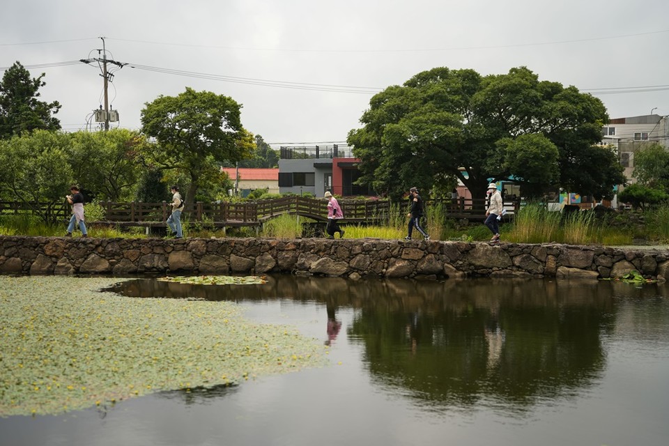 세계유산지구 마을인 덕천리의 모산이 연못.