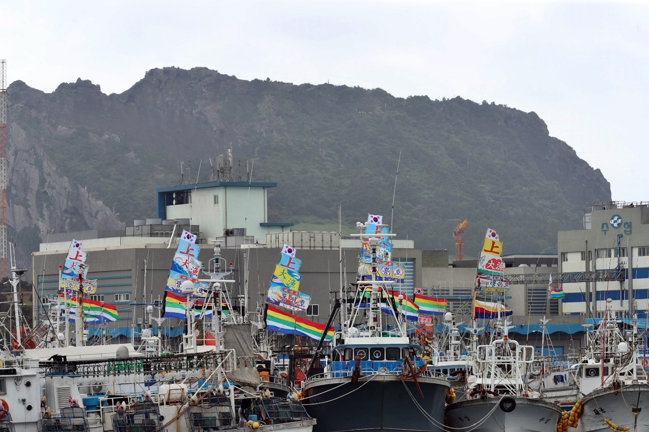 추석 연휴인 11일 오전 서귀포시 성산항에 어선들이 만선기를 달고 정박해 있다. [사진=제주도의회]