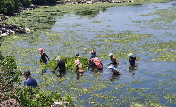 바다환경 정화활동을 하고 있는 오조리마을 주민들.