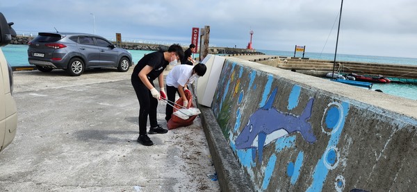 김녕초 6학년 이하민·이민성 어린이가 단짝을 이뤄 김녕항 주변에 널브러져 있는 바다쓰레기를 치우고 있다.