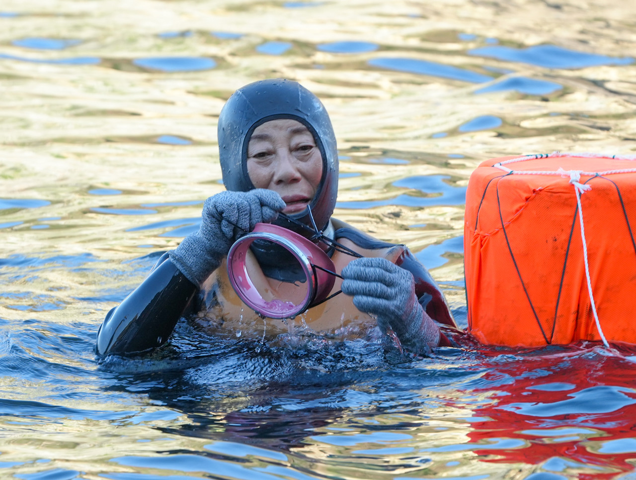 제주도와 경북 울릉 해녀 10여명이 8일 독도에서 광복 80주년을 맞아 아주 특별한 물질을 시연했다. [사진=제주도]