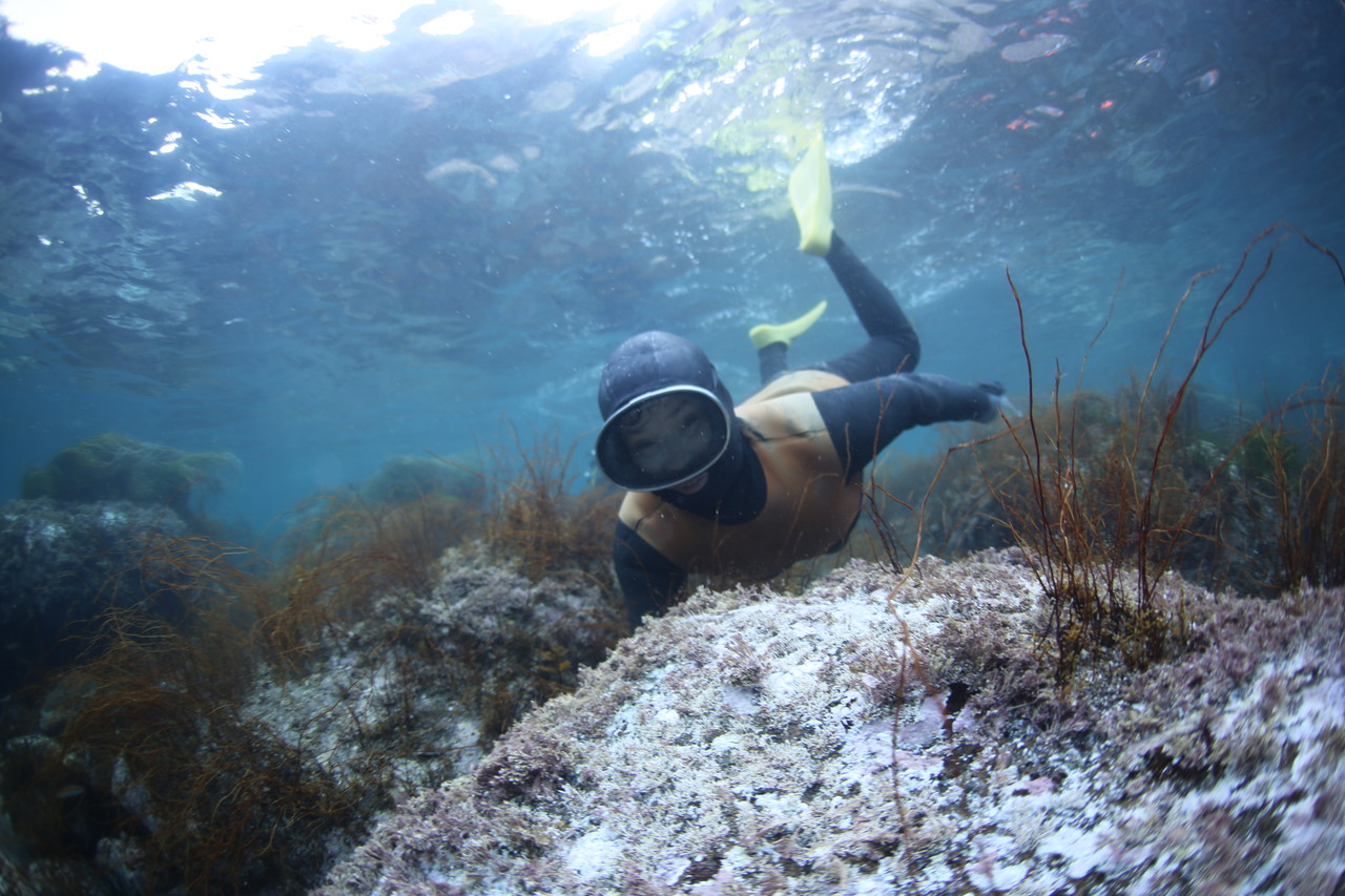 제주도와 경북 울릉 해녀 10여명이 8일 독도에서 광복 80주년을 맞아 아주 특별한 물질을 시연했다. [사진=제주도]