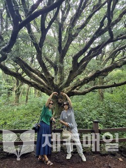 ‘2025 제주 한달살이’ 참가자인 김현숙씨와 민영심씨의 한달살이 기록. [사진=김현숙씨]