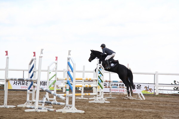 2024년 제주승마축제 당시 경기 모습.