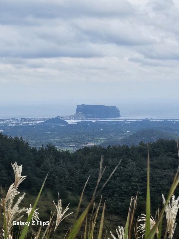 일년의 반은 제주살이를 하는 엄봉애씨는 오름과 바다, 마을 곳곳을 들여다보며 그동안 잃어버린 것들을 찾아나섰다.