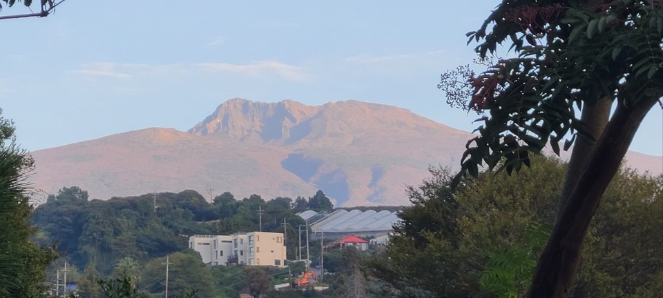 최규발 명예교수는 매일 한라산을 보며 하루를 시작했다고 했다. [사진 = 최규발 교수]