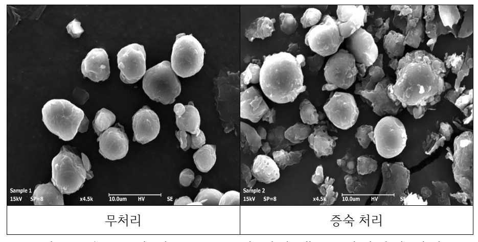 증숙 분말 입자 현미경 사진