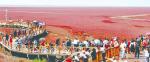 중국 북동부 랴오닝성 판진시에 있는 함초밭을 찾은 중국인 관광객들. 이 곳에 있는 함초들의 색깔이 붉은 빛을 띄고 있어 레드비치(Red Beach)라고 불리고 있다. [ 연합뉴스 DB]