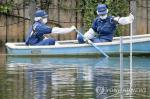 일본 도쿄도(東京都) 메구로(目黑)구 히몬야(碑文谷) 공원에서 23일 오후 경찰이 연못을 조사하고 있다. 이 연못에서는 토막 난 시신이 발견됐다. [연합뉴스]