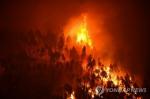 포르투갈 산불 [AFP=연합뉴스]