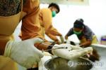 2018년 2월 6일 인도네시아 오랑우탄보호센터(COP) 전문가들이 보르네오 섬 인도네시아령 동부 칼리만탄 주 본탕에서 중상을 입은 채 발견된 수컷 보르네오 오랑우탄의 몸에서 발견된 총탄을 들어보이고 있다. [연합뉴스]