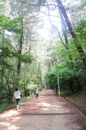 해병대에서 수목원까지 이어지는 흙길은 시민들이 산책과 운동하기 좋은 곳이다.