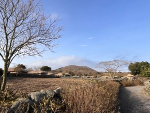 파란 하늘 아래 둥글둥글 정겨운 제주돌문화공원 전통초가마을 '돌한마을' 전경.